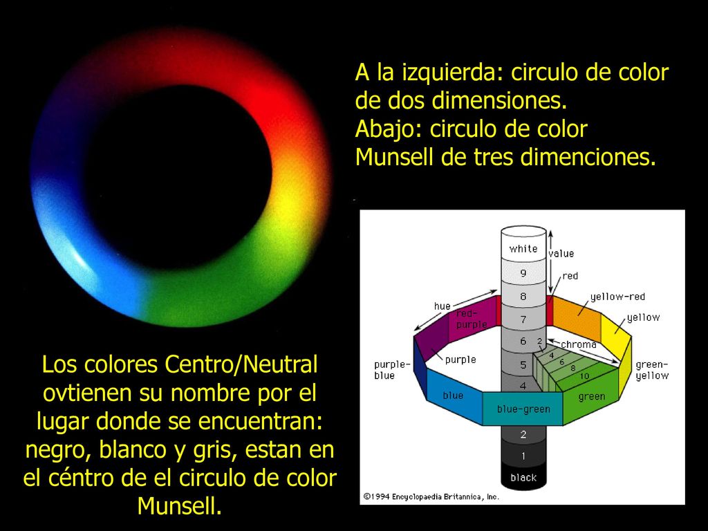 A la izquierda: circulo de color de dos dimensiones.