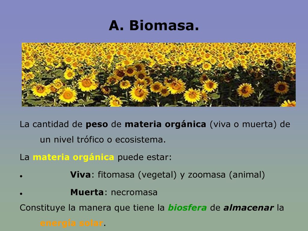 A. Biomasa. La cantidad de peso de materia orgánica (viva o muerta) de un nivel trófico o ecosistema.