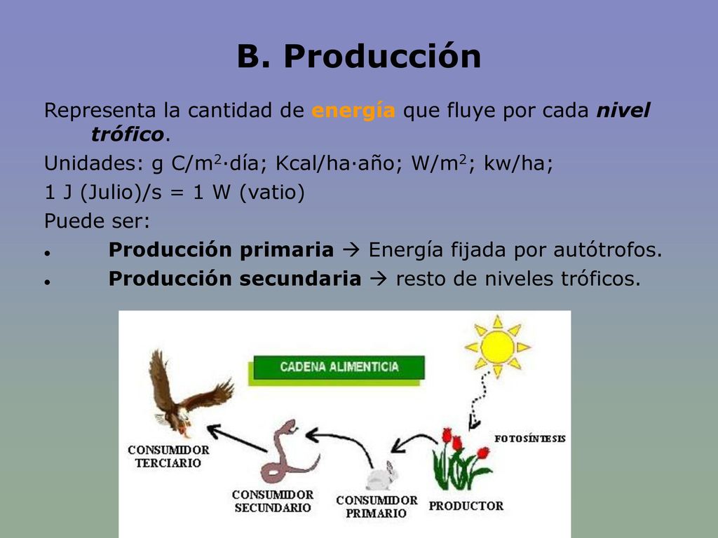 B. Producción Representa la cantidad de energía que fluye por cada nivel trófico. Unidades: g C/m2·día; Kcal/ha·año; W/m2; kw/ha;