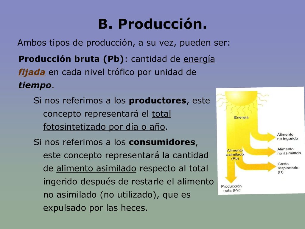 B. Producción. Ambos tipos de producción, a su vez, pueden ser: