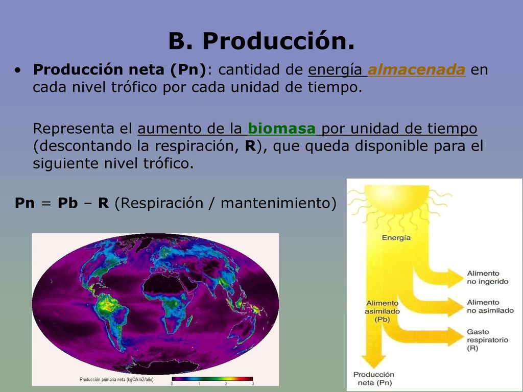 B. Producción. Producción neta (Pn): cantidad de energía almacenada en cada nivel trófico por cada unidad de tiempo.