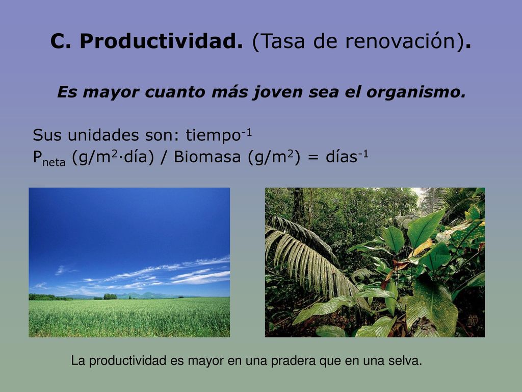 Es mayor cuanto más joven sea el organismo.