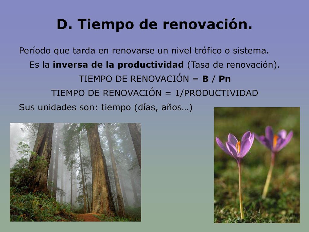 D. Tiempo de renovación. Período que tarda en renovarse un nivel trófico o sistema. Es la inversa de la productividad (Tasa de renovación).