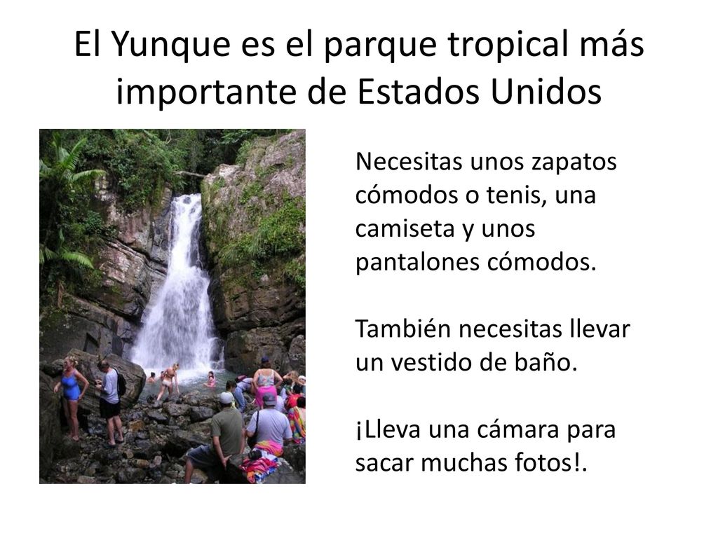 El Yunque es el parque tropical más importante de Estados Unidos