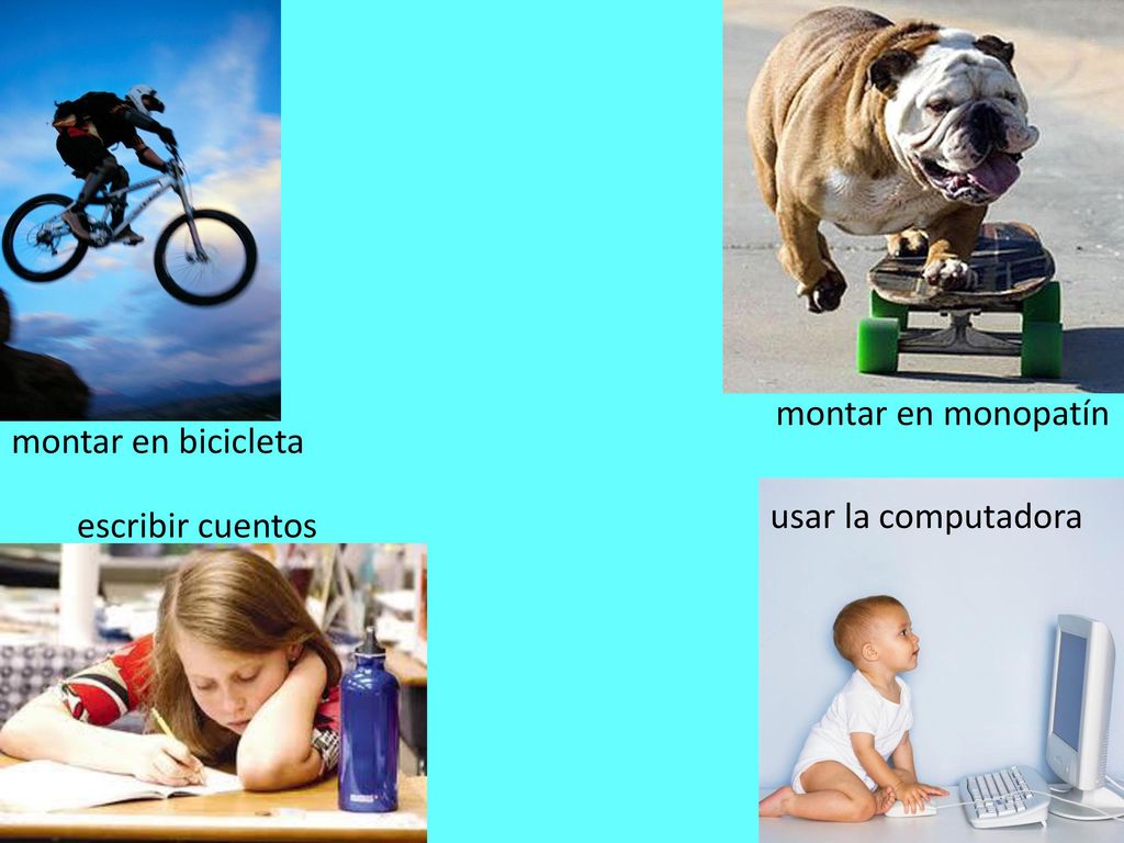 montar en monopatín montar en bicicleta usar la computadora escribir cuentos