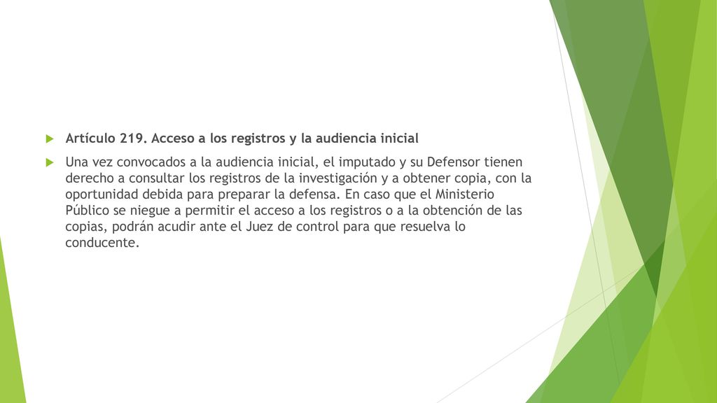 Artículo 219. Acceso a los registros y la audiencia inicial