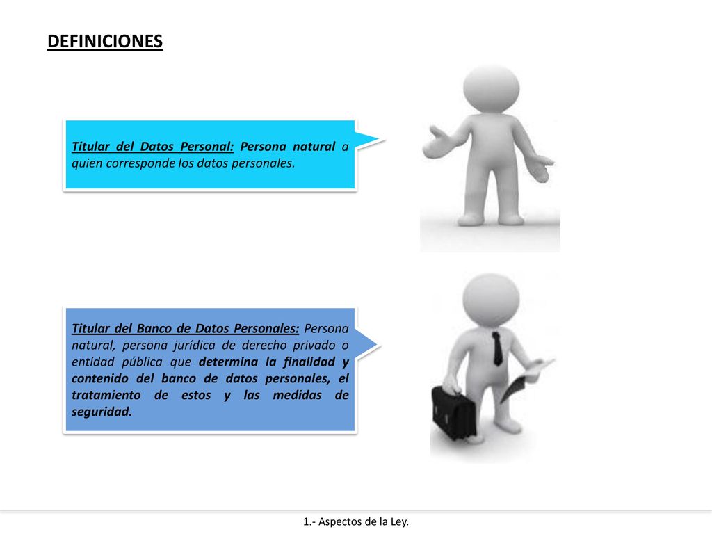 DEFINICIONES Titular del Datos Personal: Persona natural a quien corresponde los datos personales.