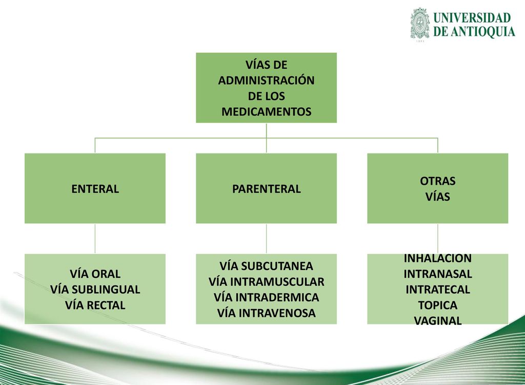 VÍAS DE ADMINISTRACIÓN. DE LOS. MEDICAMENTOS. ENTERAL. VÍA ORAL. VÍA SUBLINGUAL. VÍA RECTAL. PARENTERAL.
