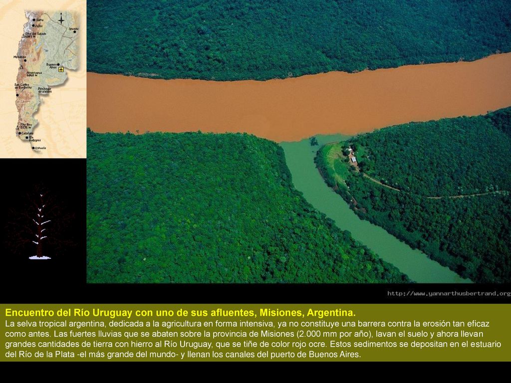 Encuentro del Río Uruguay con uno de sus afluentes, Misiones, Argentina.