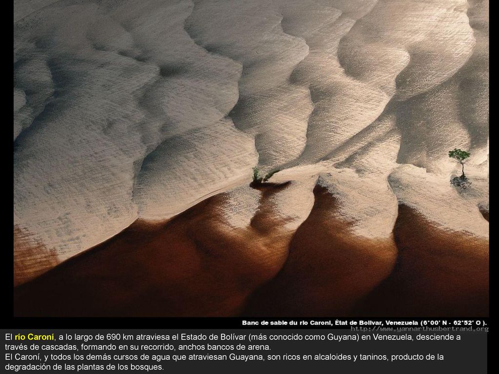 El río Caroní, a lo largo de 690 km atraviesa el Estado de Bolívar (más conocido como Guyana) en Venezuela, desciende a través de cascadas, formando en su recorrido, anchos bancos de arena.