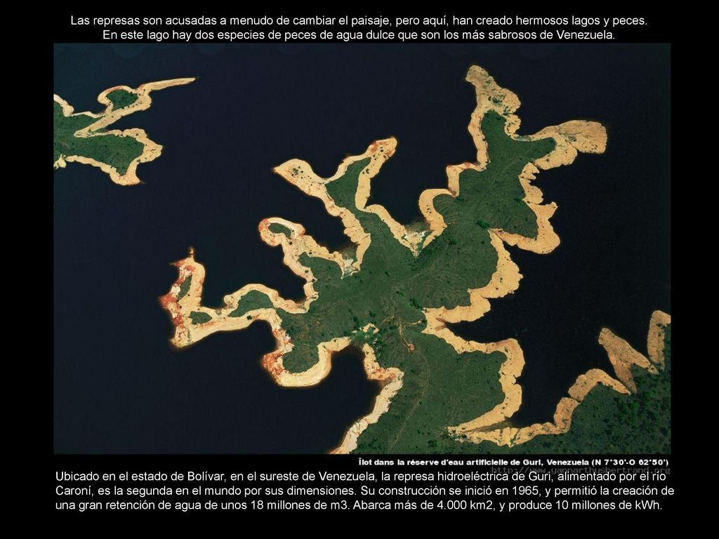 Las represas son acusadas a menudo de cambiar el paisaje, pero aquí, han creado hermosos lagos y peces. En este lago hay dos especies de peces de agua dulce que son los más sabrosos de Venezuela.