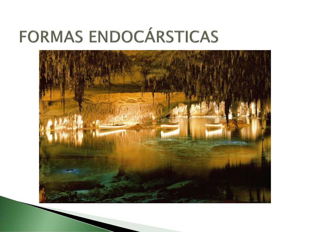 FORMAS ENDOCÁRSTICAS