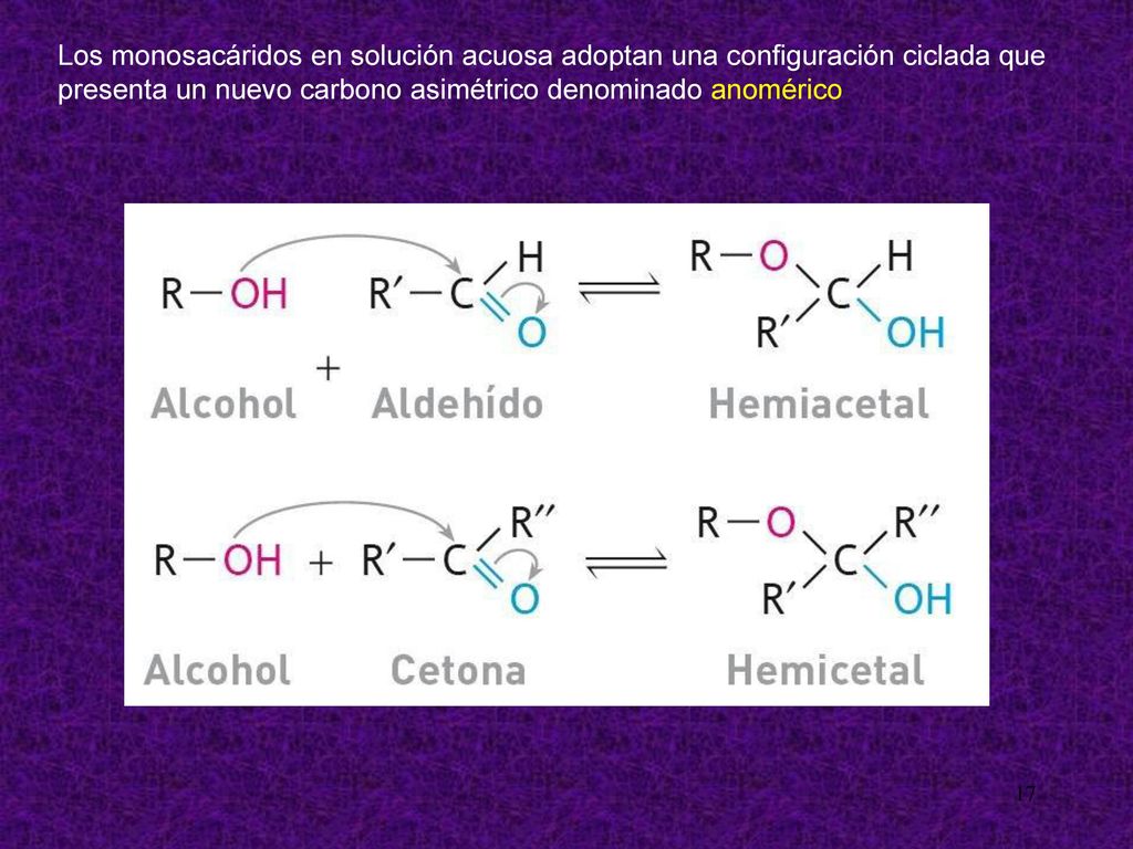 Los monosacáridos en solución acuosa adoptan una configuración ciclada que presenta un nuevo carbono asimétrico denominado anomérico