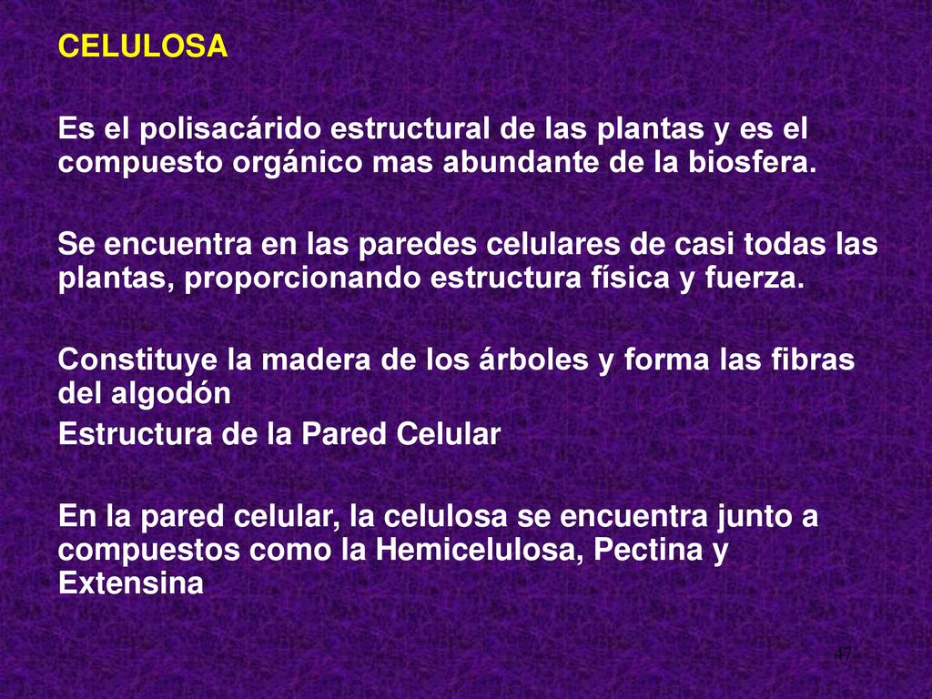 CELULOSA Es el polisacárido estructural de las plantas y es el compuesto orgánico mas abundante de la biosfera.
