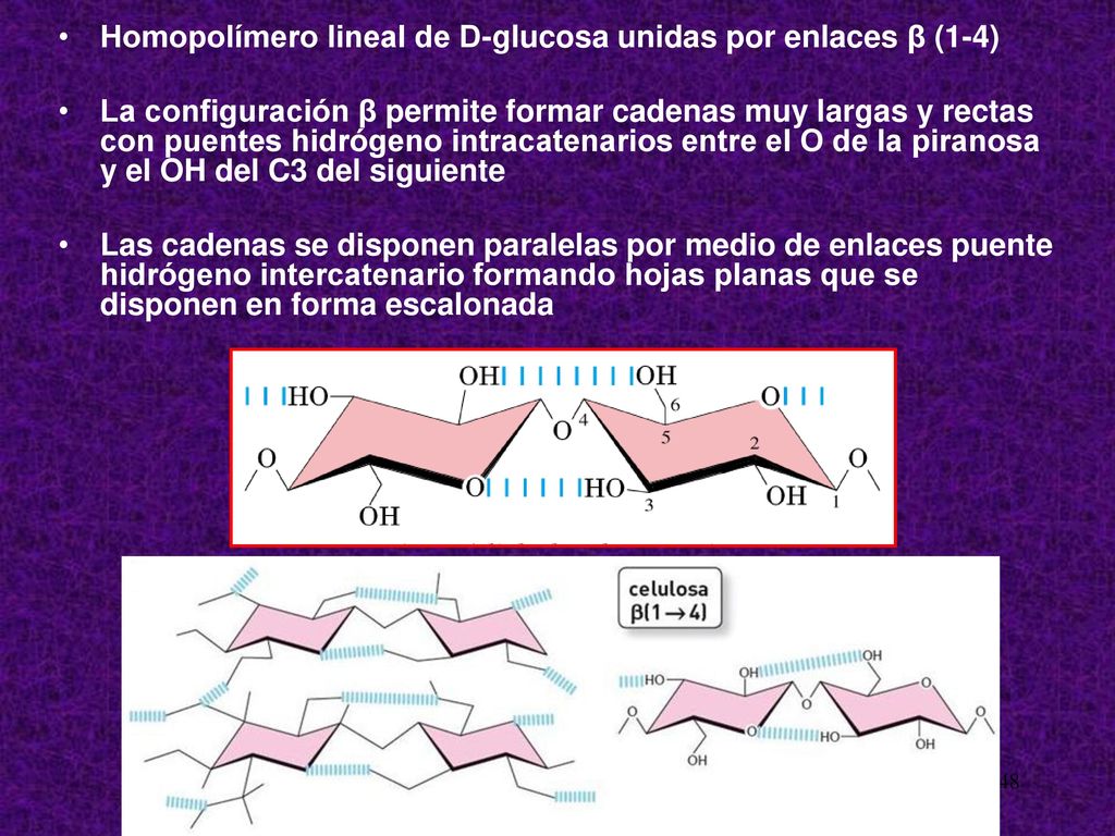 Homopolímero lineal de D-glucosa unidas por enlaces β (1-4)