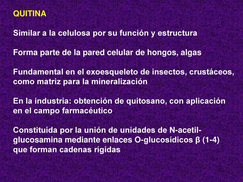 QUITINA Similar a la celulosa por su función y estructura. Forma parte de la pared celular de hongos, algas.