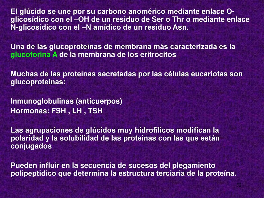 El glúcido se une por su carbono anomérico mediante enlace O-glicosídico con el –OH de un residuo de Ser o Thr o mediante enlace N-glicosídico con el –N amídico de un residuo Asn.