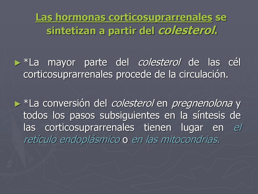 Las hormonas corticosuprarrenales se sintetizan a partir del colesterol.