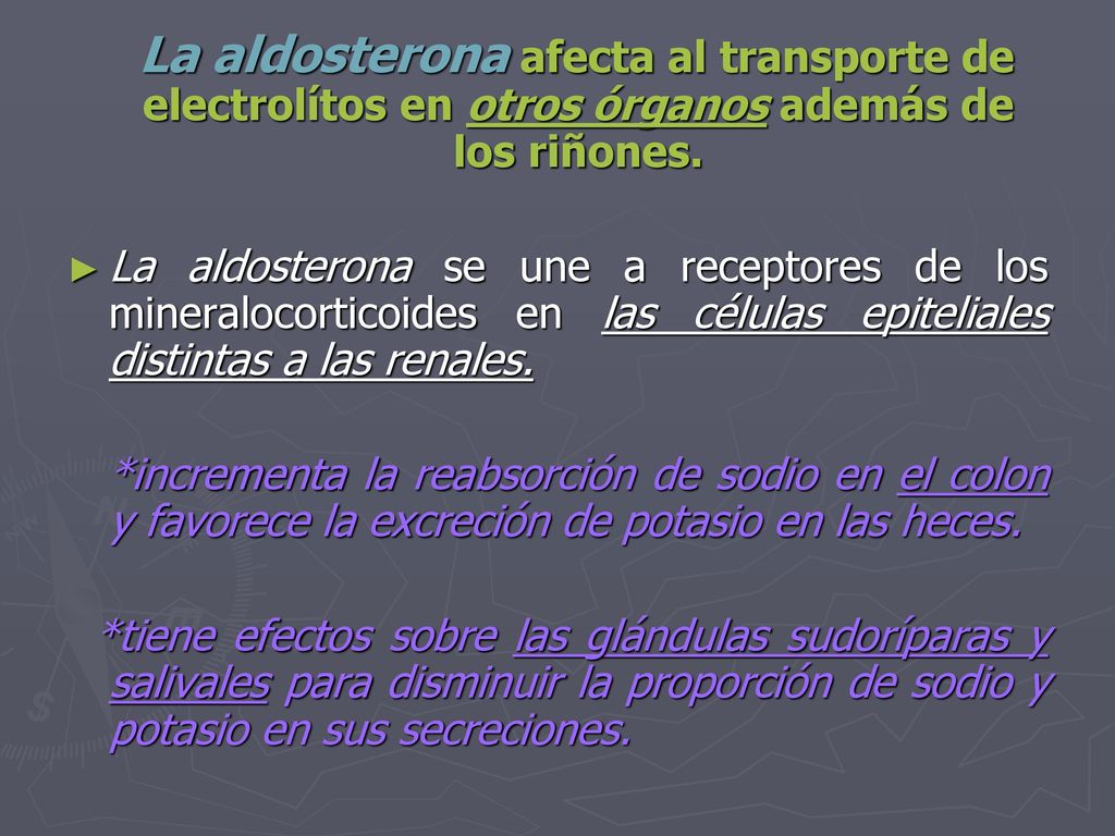 La aldosterona afecta al transporte de electrolítos en otros órganos además de los riñones.