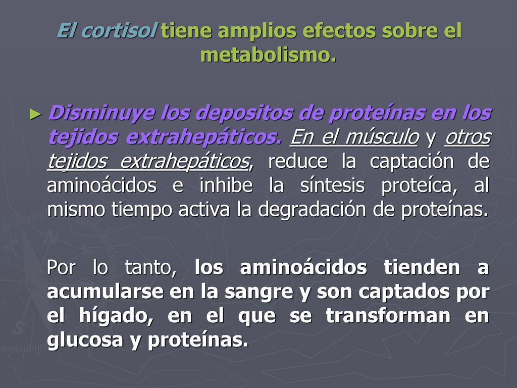 El cortisol tiene amplios efectos sobre el metabolismo.