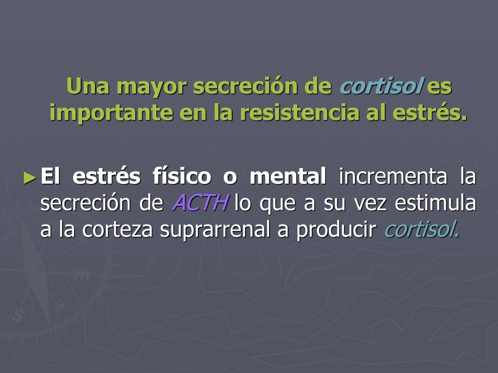 Una mayor secreción de cortisol es importante en la resistencia al estrés.