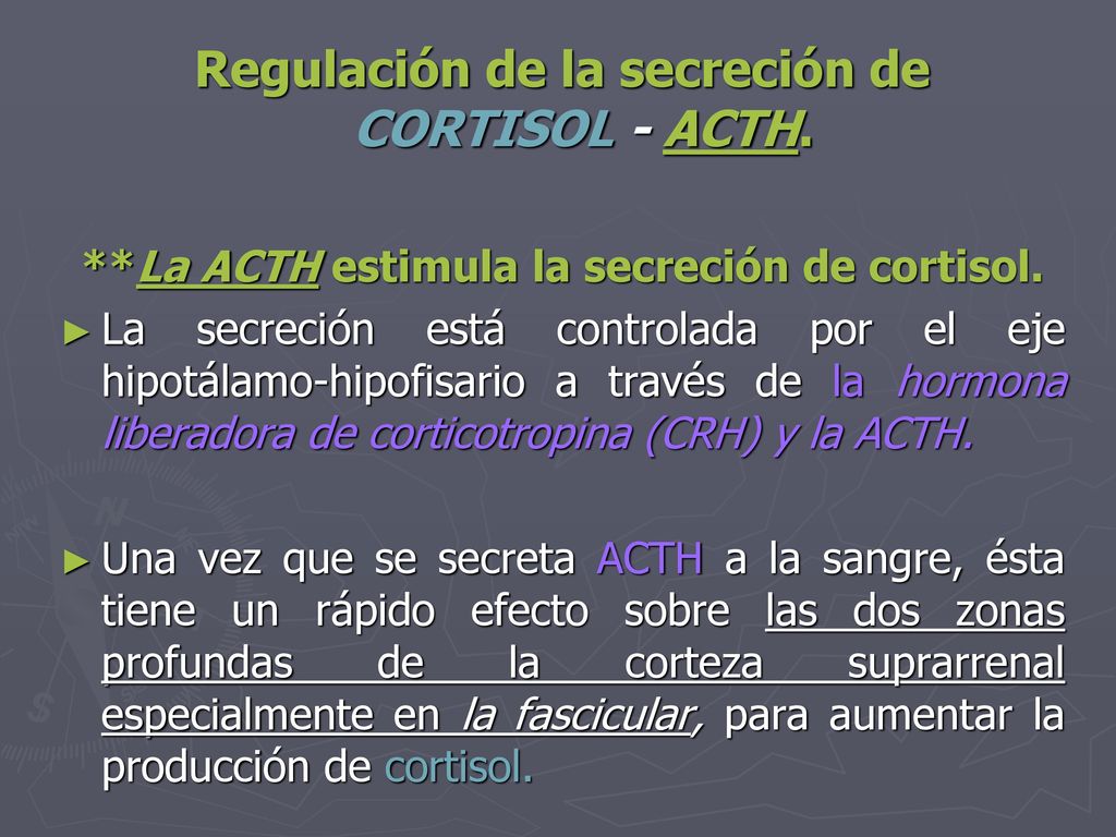 Regulación de la secreción de CORTISOL - ACTH.