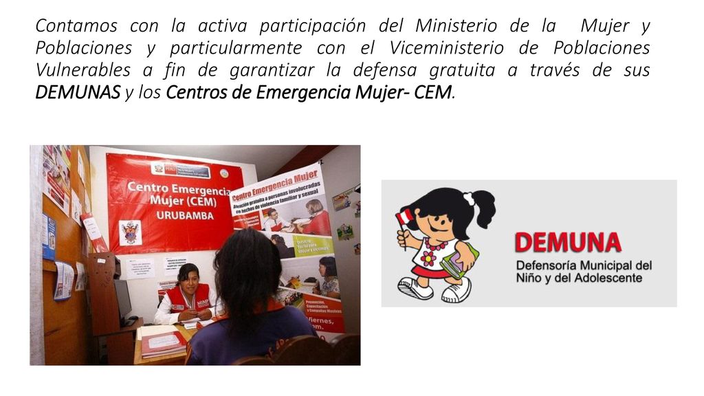 Contamos con la activa participación del Ministerio de la Mujer y Poblaciones y particularmente con el Viceministerio de Poblaciones Vulnerables a fin de garantizar la defensa gratuita a través de sus DEMUNAS y los Centros de Emergencia Mujer- CEM.