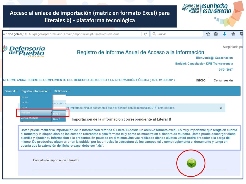 Acceso al enlace de importación (matriz en formato Excel) para literales b) - plataforma tecnológica