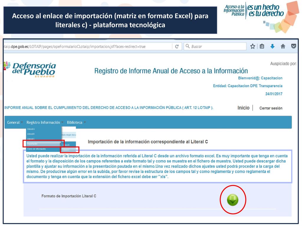 Acceso al enlace de importación (matriz en formato Excel) para literales c) - plataforma tecnológica