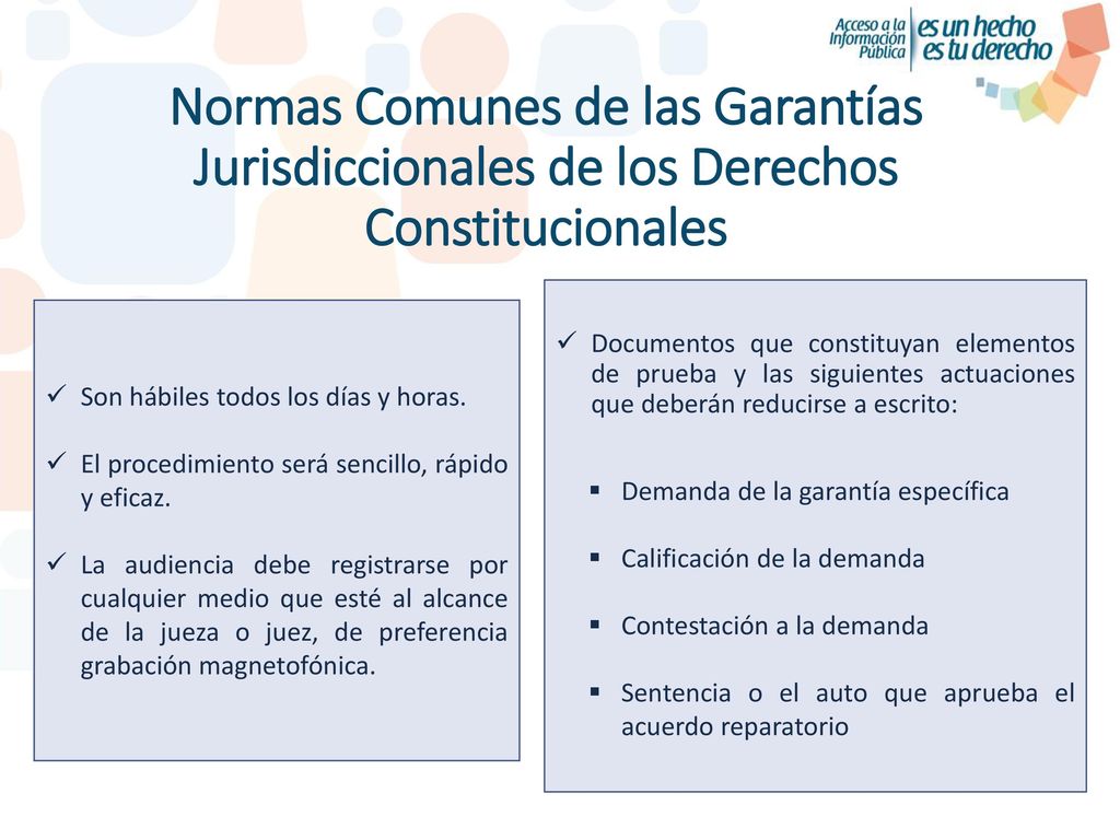 Normas Comunes de las Garantías Jurisdiccionales de los Derechos Constitucionales