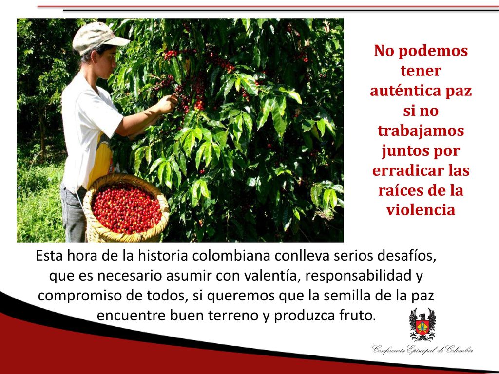 Es nuestro deseo que la larga noche de dolor y de violencia, con la voluntad de todos los colombianos, se pueda transformar en un día sin ocaso de concordia, justicia, fraternidad y amor .