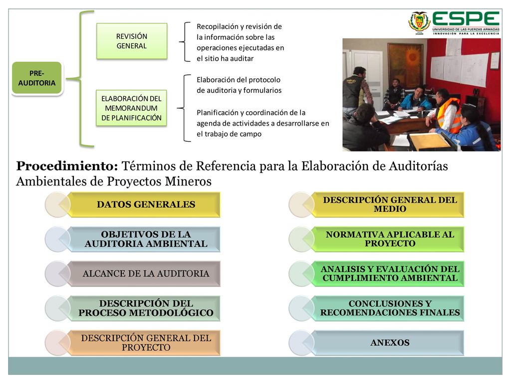 Procedimiento: Términos de Referencia para la Elaboración de Auditorías Ambientales de Proyectos Mineros