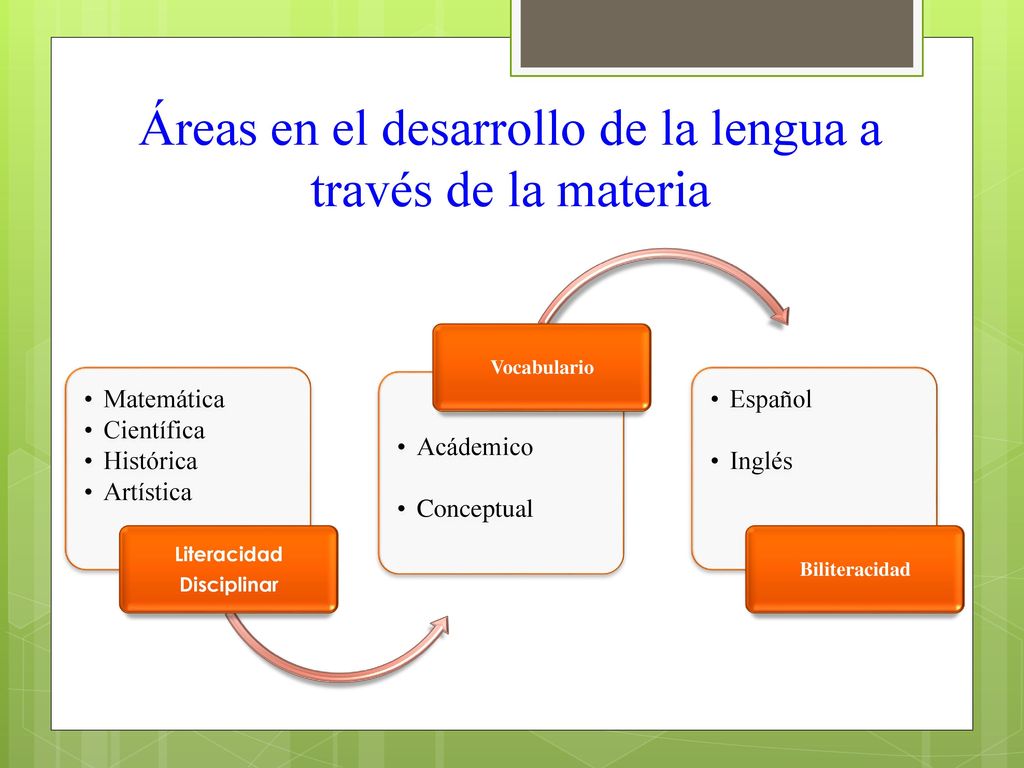 Áreas en el desarrollo de la lengua a través de la materia