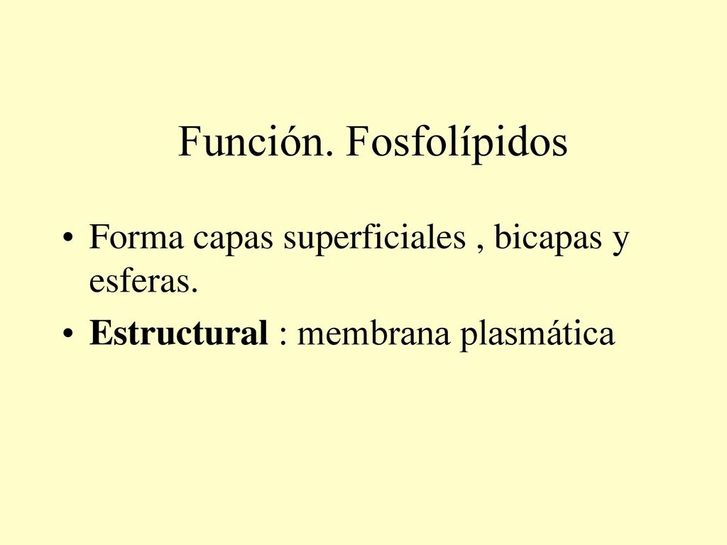 Función. Fosfolípidos Forma capas superficiales , bicapas y esferas.