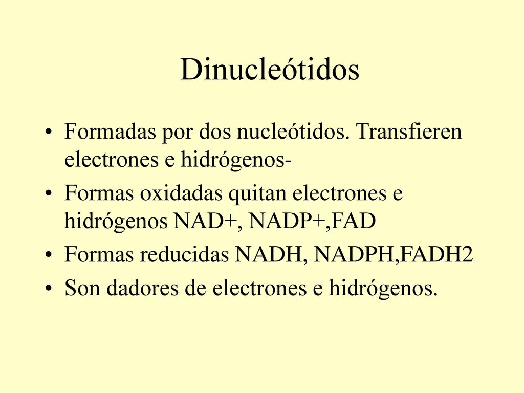 Dinucleótidos Formadas por dos nucleótidos. Transfieren electrones e hidrógenos- Formas oxidadas quitan electrones e hidrógenos NAD+, NADP+,FAD.