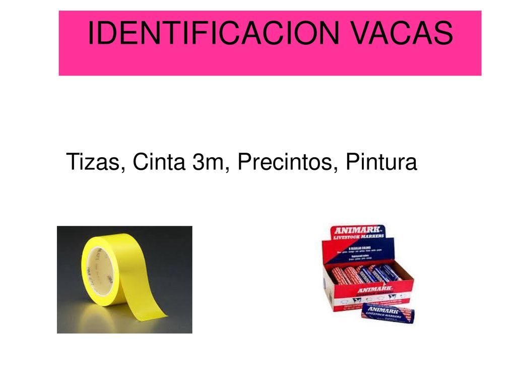REGISTROS Planillas, Cuaderno, Libretas, Softwares (Dairyplan, Dairycomp, Syscor, Dyrsa)
