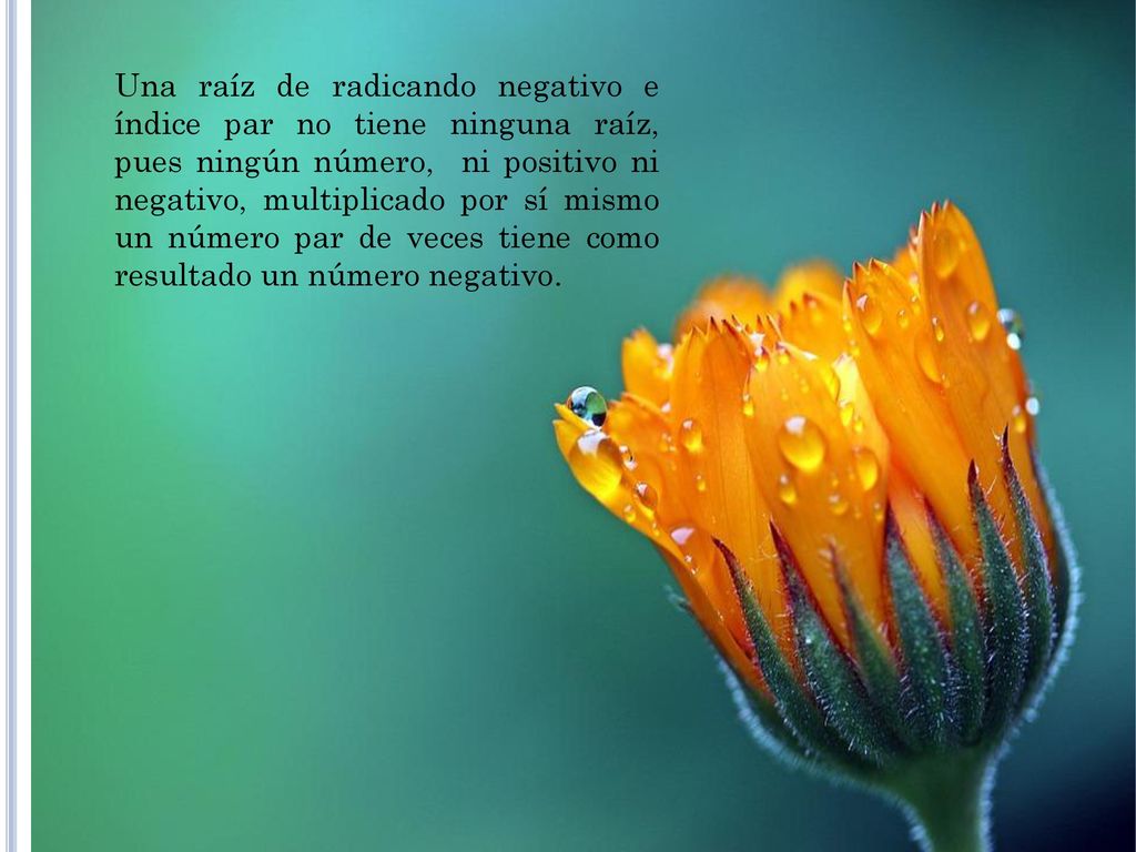 Una raíz de radicando negativo e índice par no tiene ninguna raíz, pues ningún número, ni positivo ni negativo, multiplicado por sí mismo un número par de veces tiene como resultado un número negativo.