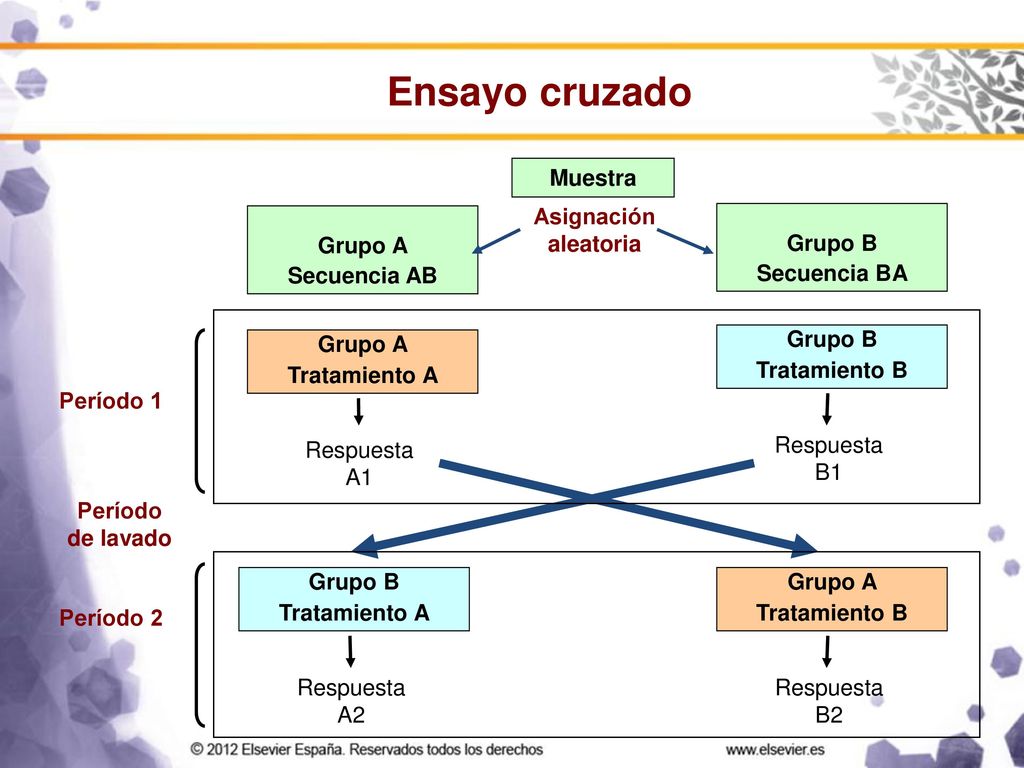 Ensayo cruzado Muestra Asignación aleatoria Grupo A Secuencia AB