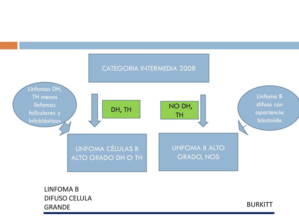 LINFOMA CÉLULAS B ALTO GRADO DH O TH LINFOMA B ALTO GRADO, NOS