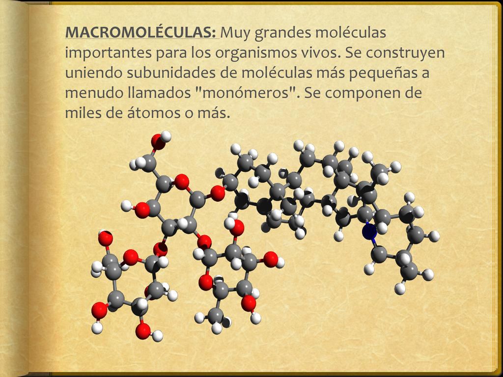 MACROMOLÉCULAS: Muy grandes moléculas importantes para los organismos vivos.