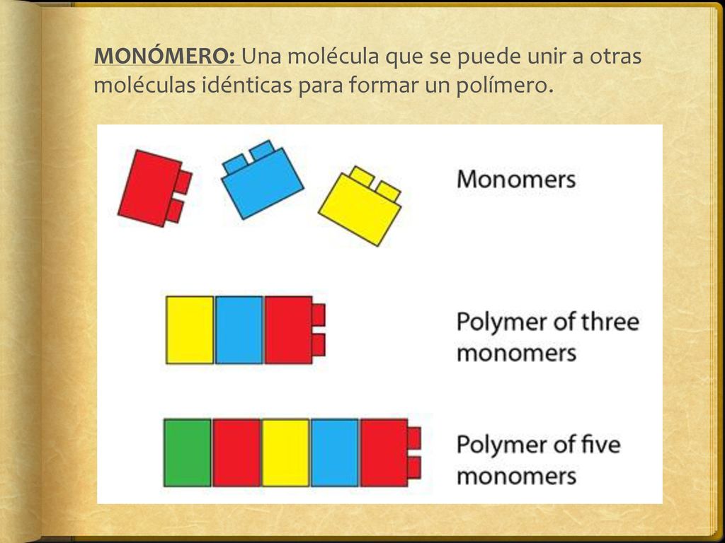 MONÓMERO: Una molécula que se puede unir a otras moléculas idénticas para formar un polímero.