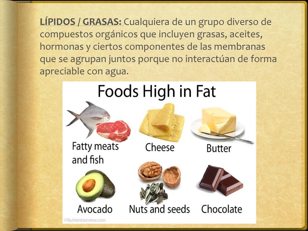 LÍPIDOS / GRASAS: Cualquiera de un grupo diverso de compuestos orgánicos que incluyen grasas, aceites, hormonas y ciertos componentes de las membranas que se agrupan juntos porque no interactúan de forma apreciable con agua.