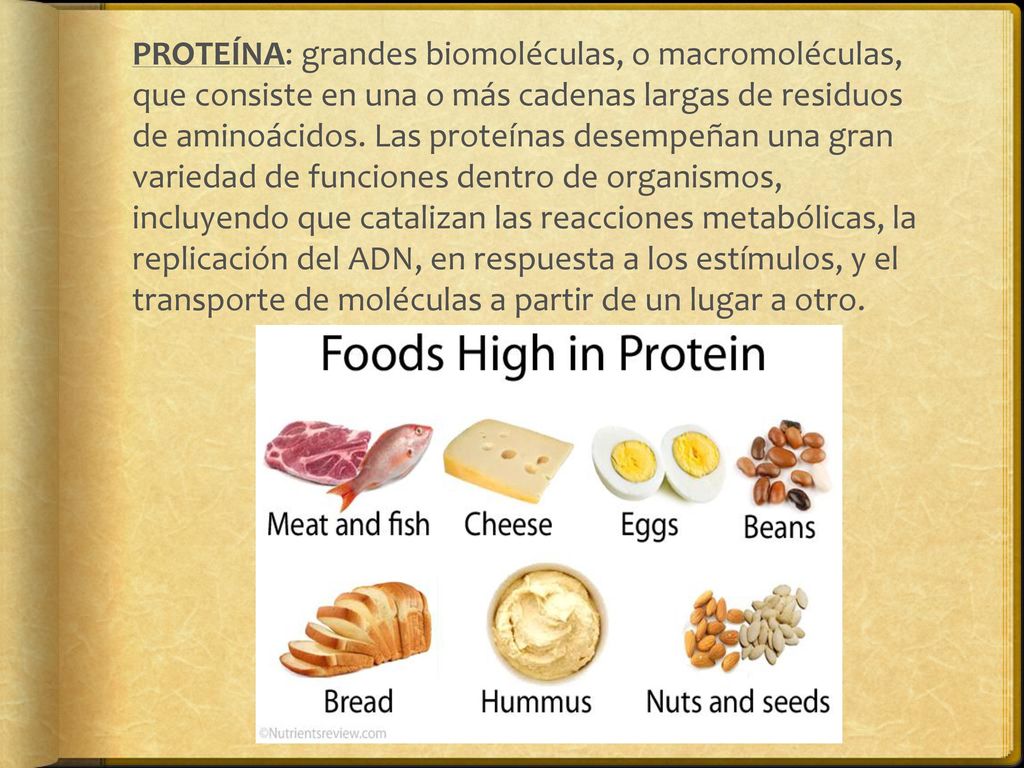 PROTEÍNA: grandes biomoléculas, o macromoléculas, que consiste en una o más cadenas largas de residuos de aminoácidos.