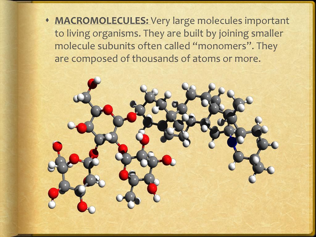 MACROMOLECULES: Very large molecules important to living organisms