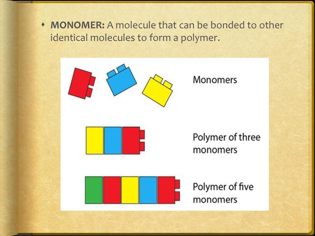 MONOMER: A molecule that can be bonded to other identical molecules to form a polymer.