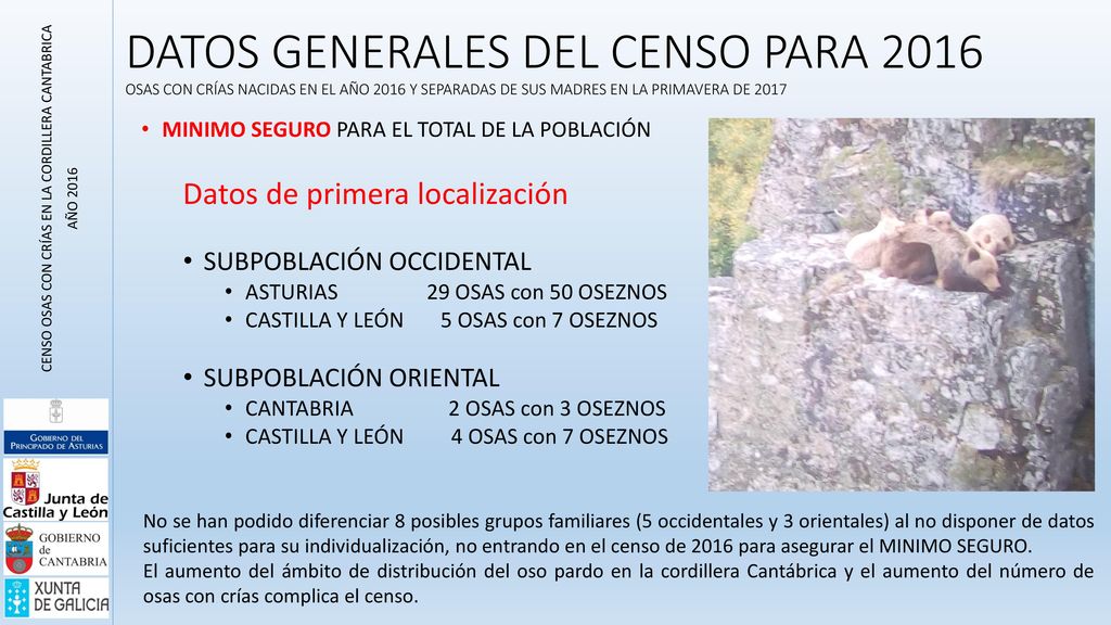 CENSO OSAS CON CRÍAS EN LA CORDILLERA CANTABRICA