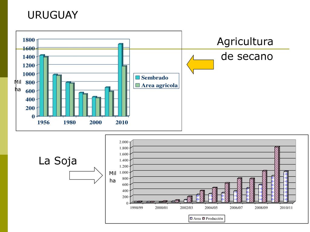 URUGUAY Agricultura de secano Mil ha La Soja Mil ha