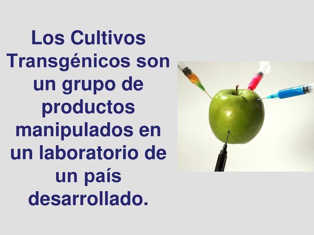 Los Cultivos Transgénicos son un grupo de productos manipulados en un laboratorio de un país desarrollado.