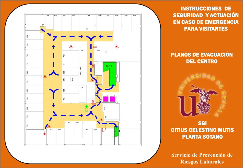 CITIUS CELESTINO MUTIS Servicio de Prevención de Riesgos Laborales