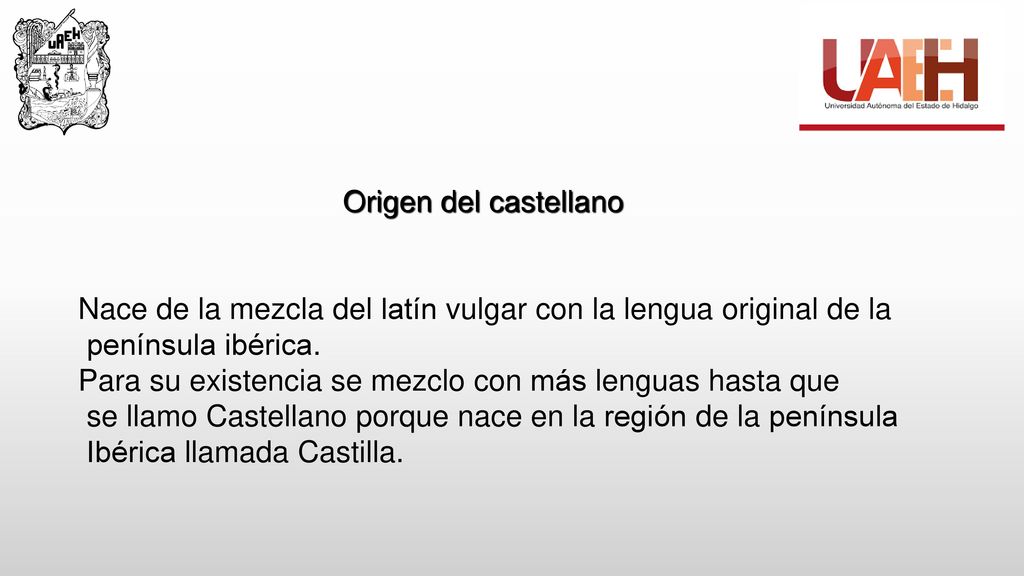 Nace de la mezcla del latín vulgar con la lengua original de la